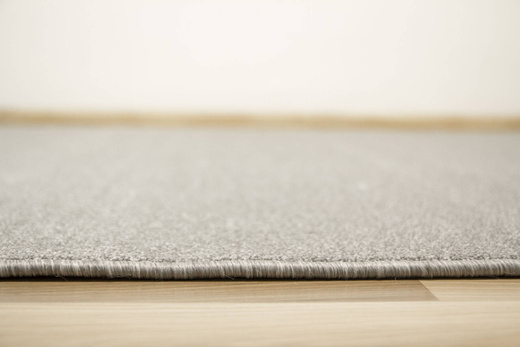 Luksusowy Dywan Phoenix-Classic 74 Szary