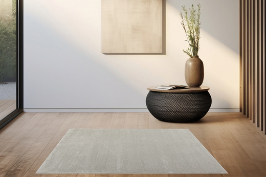 Dywan Sobrado 620 Szary