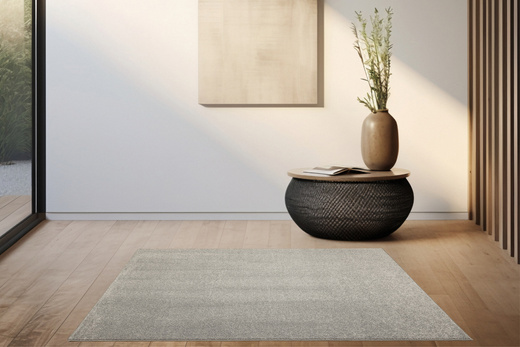 Dywan Richland 75 Szary