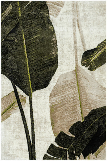 Dywan Clara 02777A cream/olive Zieleń Brąz Liście