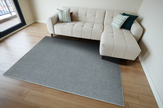 Dywan Brighton 275 Szary na filcu