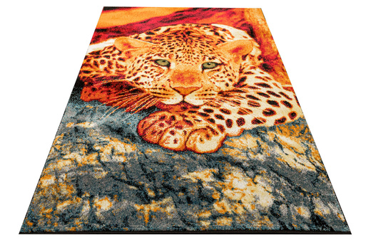 Dywan Rainbow 11123/120 Lampart