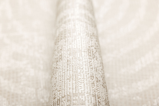 Dywan Sznurkowy Haga 04787A vizon/cream Beż Krem Okręgi Outdoor