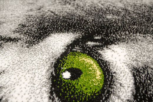 Dywan Rainbow 11179/190 Tygrys