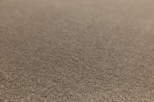 Dywan Sobrado 920 Beż