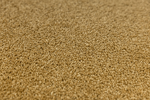 Dywan Eternity Special 50 Ciemny Musztardowy Żółty