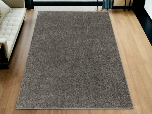 Dywan Florida Oyster 95 Szary na filcu