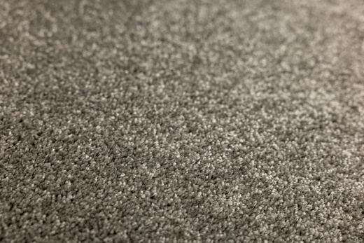 Dywan Florida Oyster 95 Szary na filcu