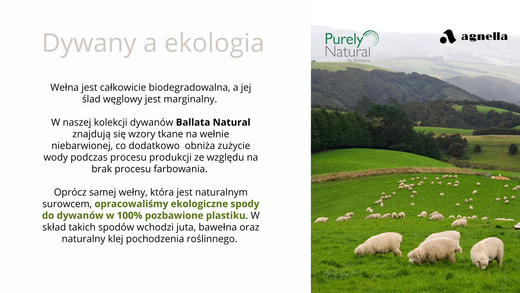 Dywan Wełniany Ballata Natural Corvo Beż Krem Agnella