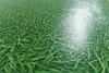 Wykładzina PCV Artifact Grass 025 Imitacja Trawy szerokość 1,5 m