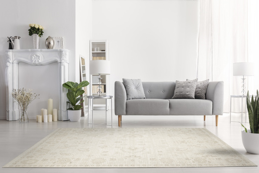 Dywan Sznurkowy Haga 03764A vizon/cream Krem Beż Ecru Ornament Outdoor