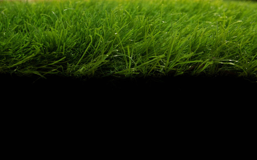 Sztuczna Trawa Haiti Soczysta Zieleń szerokość 2,5 m