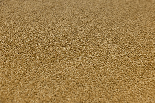 Dywan Eternity Special 50 Ciemny Musztardowy Żółty