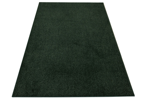 Wykładzina Destiny 650 Zielony na filcu szerokość 4 m