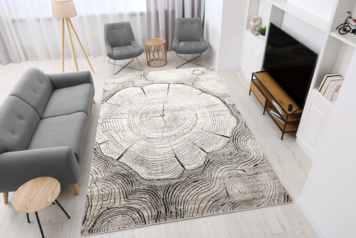 Dywan Matara P156A l.grey/sp.antr Szary Beż Krem Pień