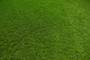 Sztuczna Trawa All Star Zieleń szerokość 2 m