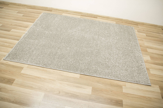 Dywan Pisa-Speciaal 174 Lśniący Szary Srebrny