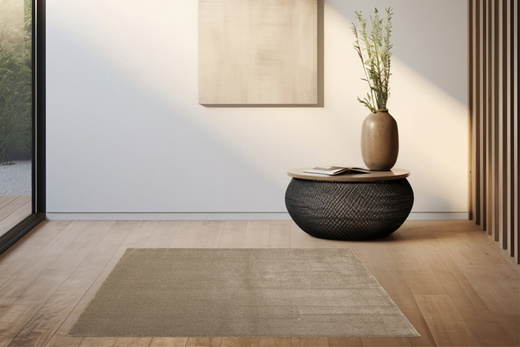 Dywan Sobrado 920 Beż