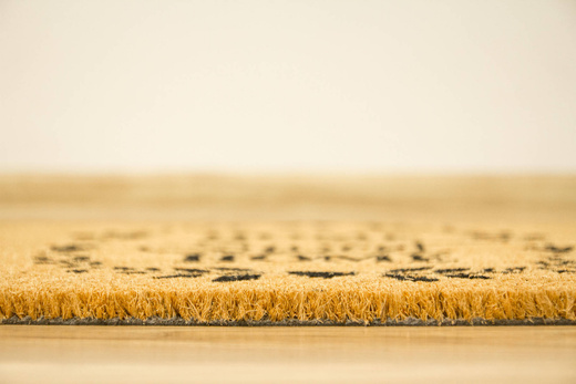 Antypoślizgowa Wycieraczka Kokosowa Retro Home Sweet