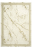 Lśniący Dywan Allora Plus B839A cream/gold Marmur Beż Krem Złoto