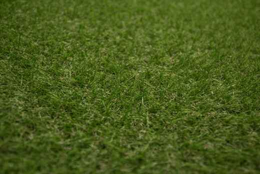 Sztuczna Trawa Mercury Bujna Zieleń szerokość 4 m