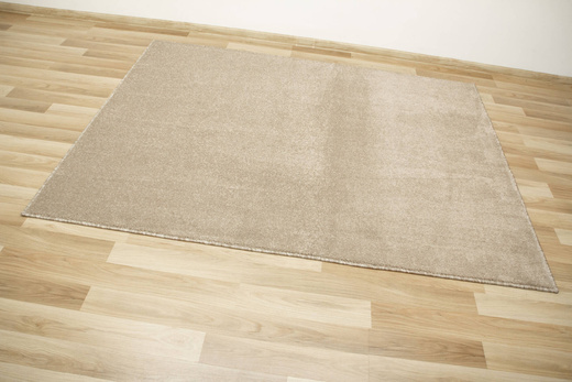 Dywan Birch 91 Beż Kakao