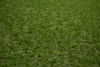 Sztuczna Trawa Mercury Bujna Zieleń szerokość 4 m 