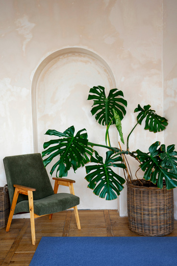 Dywan Dynasty 82 niebieski