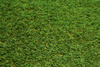 Sztuczna trawa Cuba 38 mm Zieleń szerokość 3 m