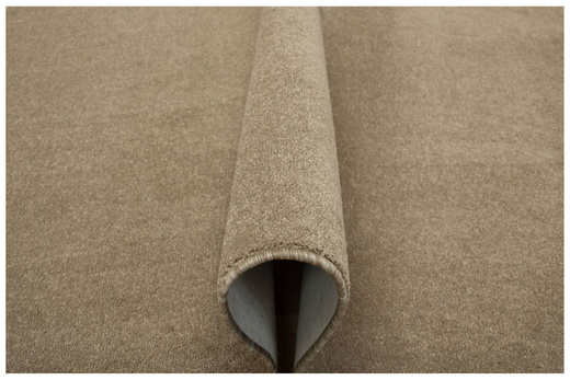 Dywan Birch 91 Beż Kakao