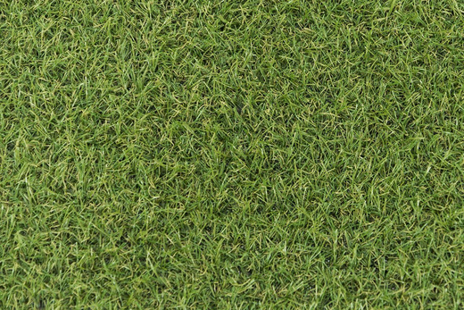 Sztuczna trawa zielona Rapid 18mm