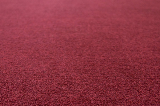 Dywan Forest 20 Karminowa Czerwień