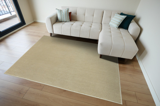 Dywan Lexus 173 Beż