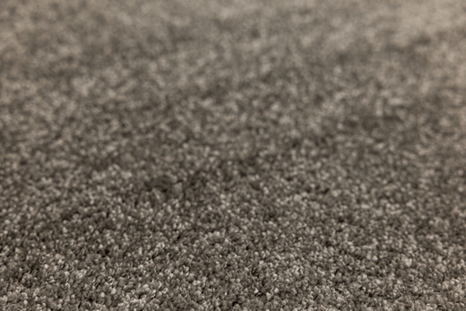 Dywan Florida Oyster 95 Szary na filcu