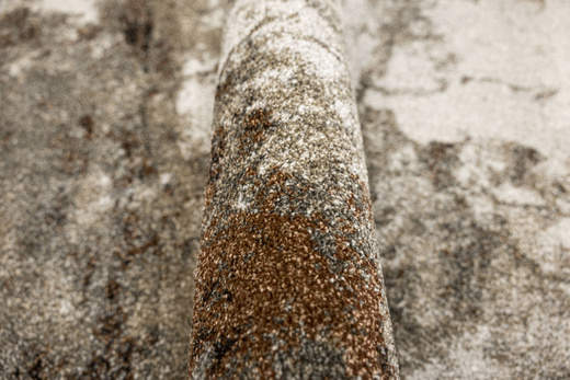 Dywan Ponte N839A l.grey/beige Szary Brąz Tynk