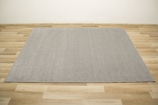 Luksusowy Dywan Phoenix-Classic 74 Szary