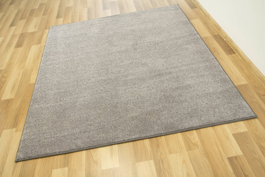 Dywan Dreamfields 75 szary