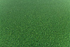 Wykładzina PCV Bubblegum Grass 025 Imitacja Trawy szerokość 1,5 m