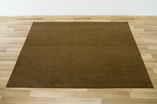 Dywan Dynasty 97 brąz