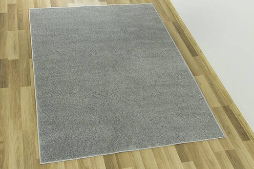 Dywan Shine 73 szary