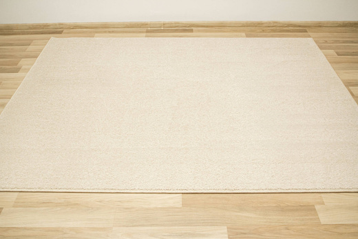 Dywan Birch 62 Beige Krem Beż