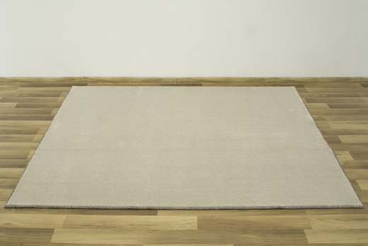 Miękki Gęsty Dywan Bounty 74 Beż