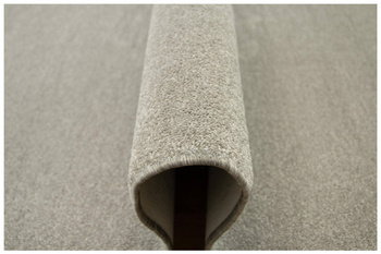 Dywan Birch 73 Popielaty Szary