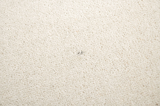 Dywan Buckingham 69 Jasny Beż