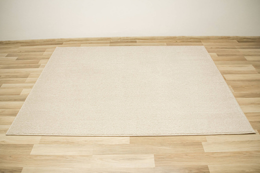 Dywan Birch 62 Beige Krem Beż