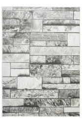 Dywan Felix 9250A l.grey/white Lśniący Szary Krem Prostokąty Marmur