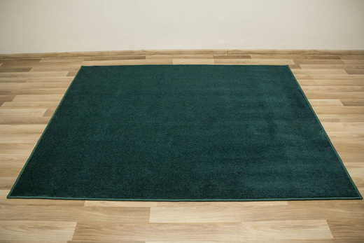 Dywan Sierra 40 Butelkowa Zieleń