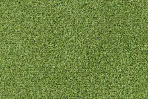 Sztuczna trawa zielona Rapid 18mm
