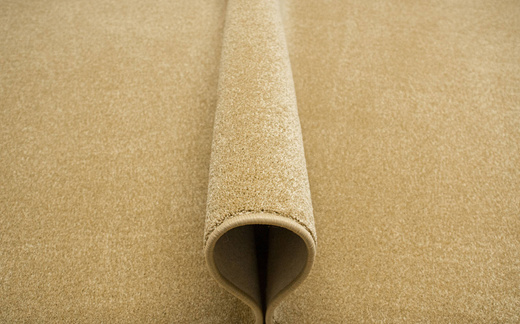 Dywan Forest 50 Miodowy