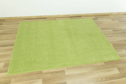 Dywan Las-Vegas 41 zielony pastelowy